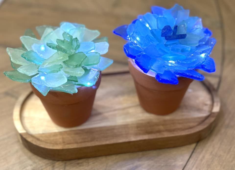 Collection 2 Set Sea Glass Succulents