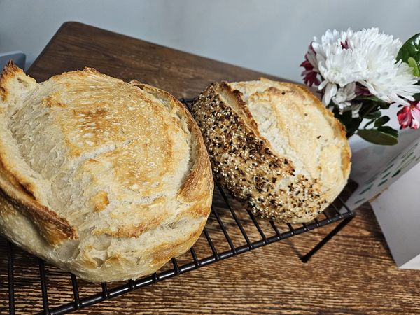 11/08/25 Sourdough Workshop with Starting all things Sourdough 9am