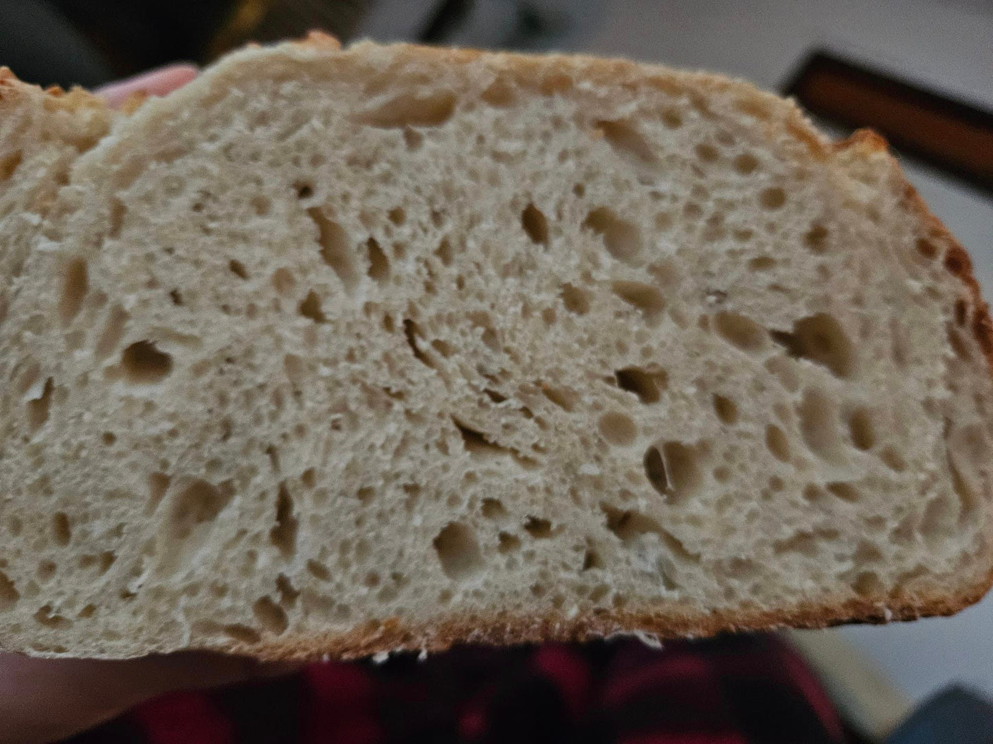 11/08/25 Sourdough Workshop with Starting all things Sourdough 9am