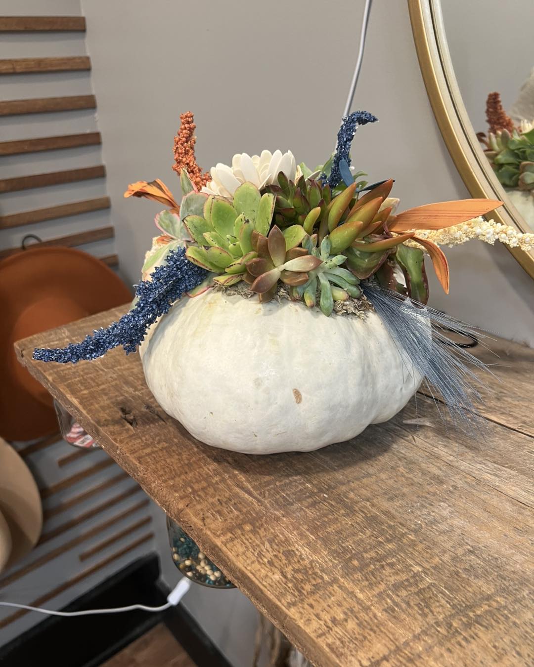 11/06/25 Succulent Pumpkin Workshop at Ashman's Cozy Nest 6pm