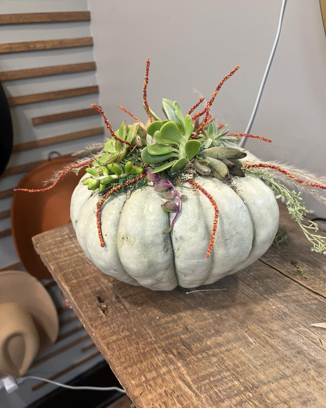 11/06/25 Succulent Pumpkin Workshop at Ashman's Cozy Nest 6pm
