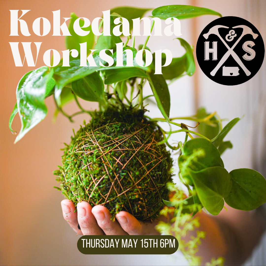 05/15/25 Kokedama Plant Workshop 6pm