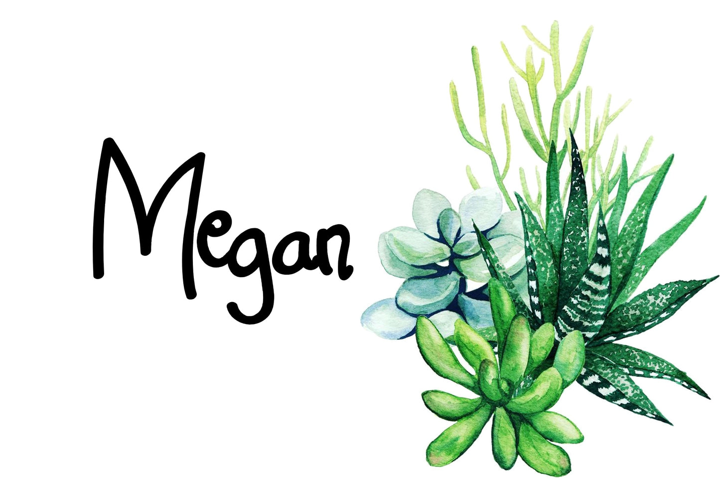 05/13/24 Succulent Watercolor Painting Workshop with Owlfeathers Watercolors 6pm