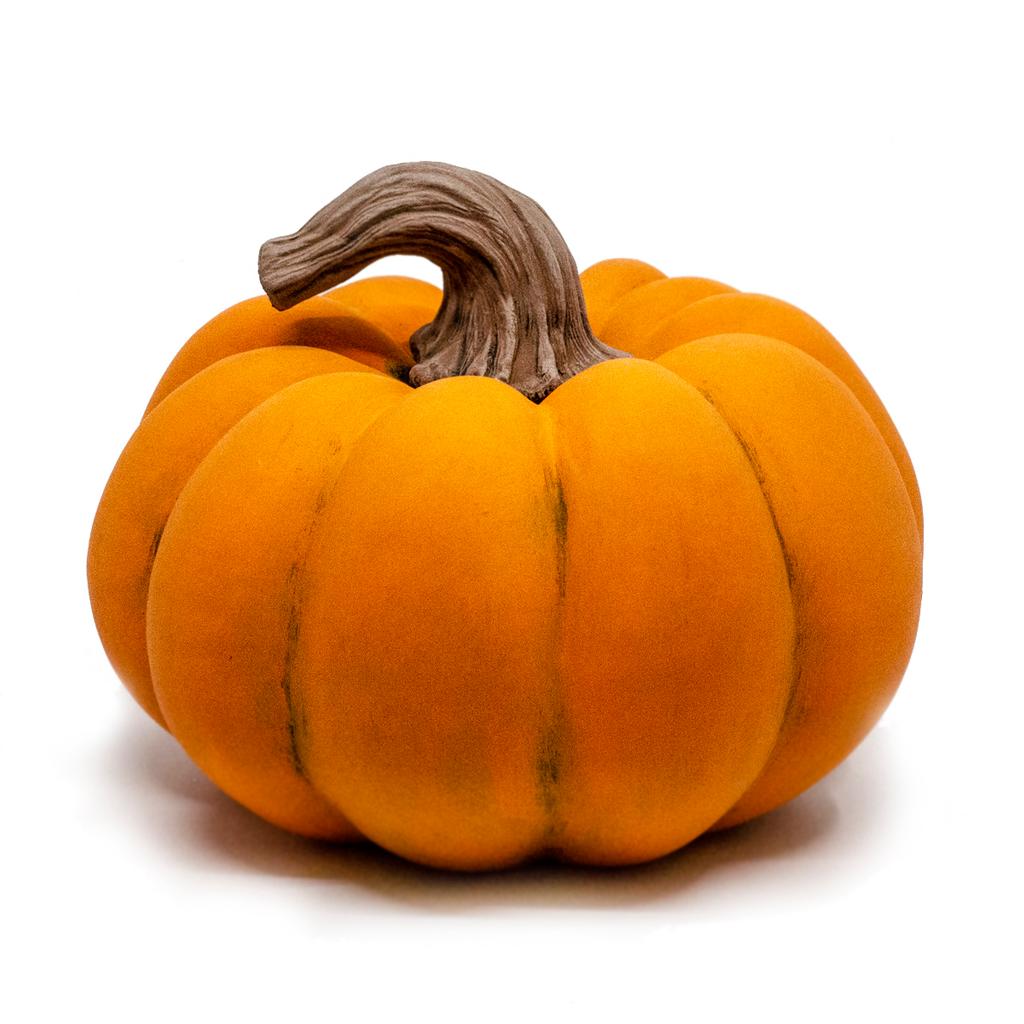 10/16/23 Fall Ceramics Workshop 6pm