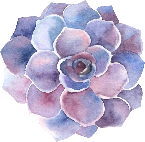 05/13/24 Succulent Watercolor Painting Workshop with Owlfeathers Watercolors 6pm