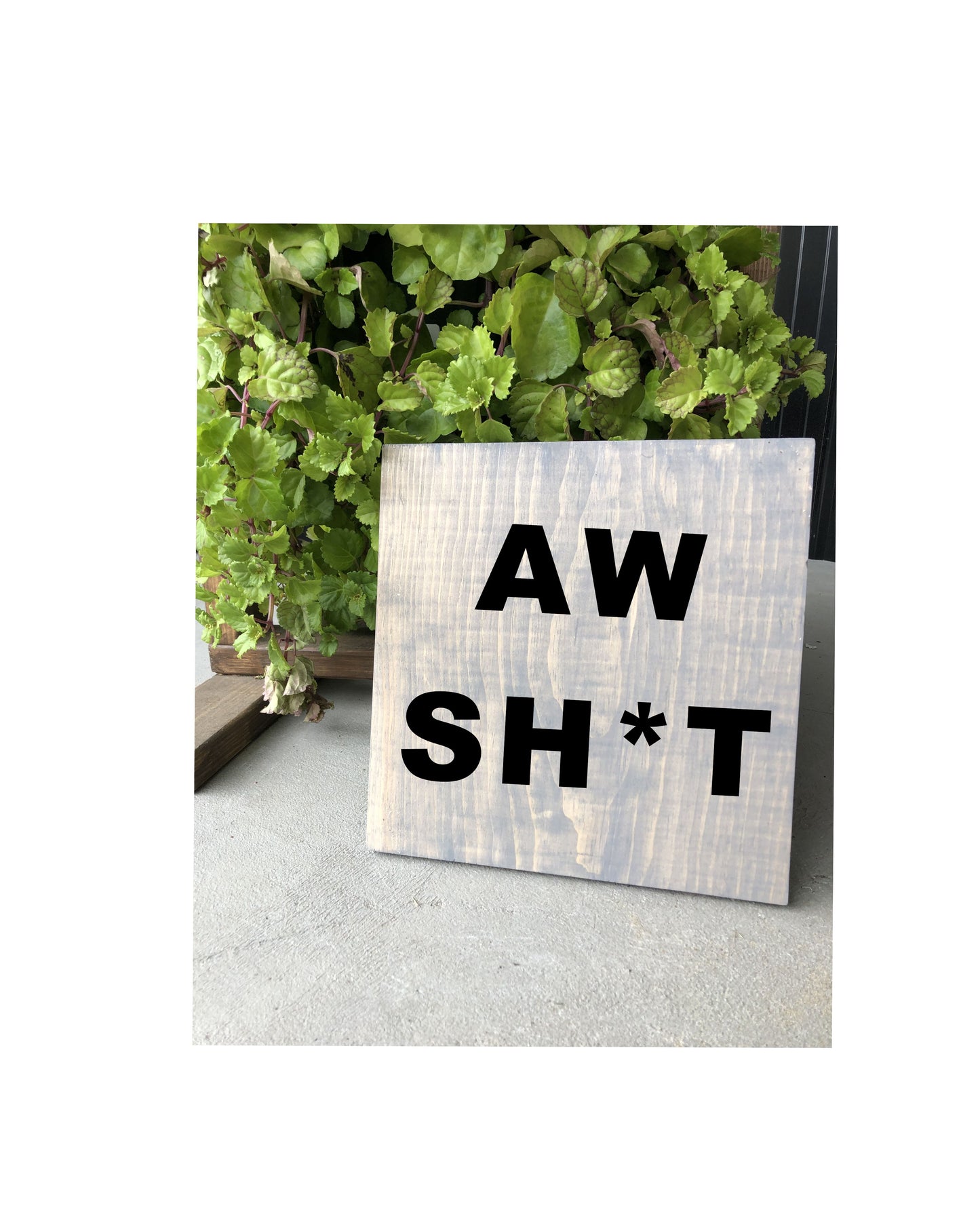 Collection Potty Mouth Workshop $40-$55