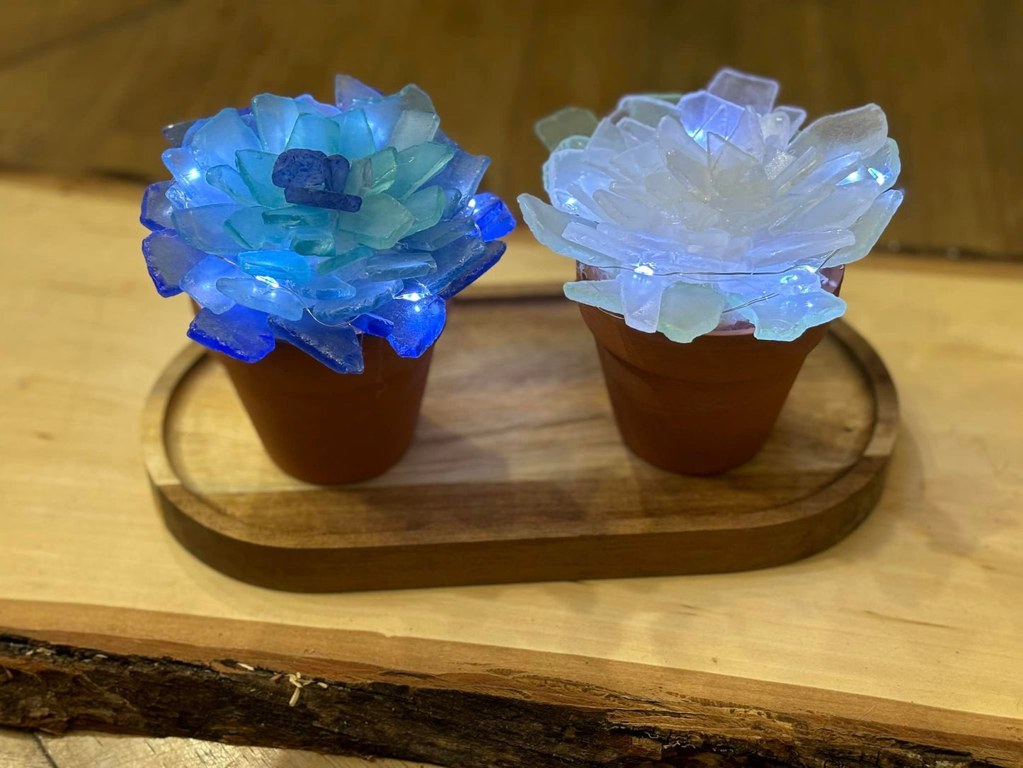 0 Seaglass Trees & Sea Glass Succulents