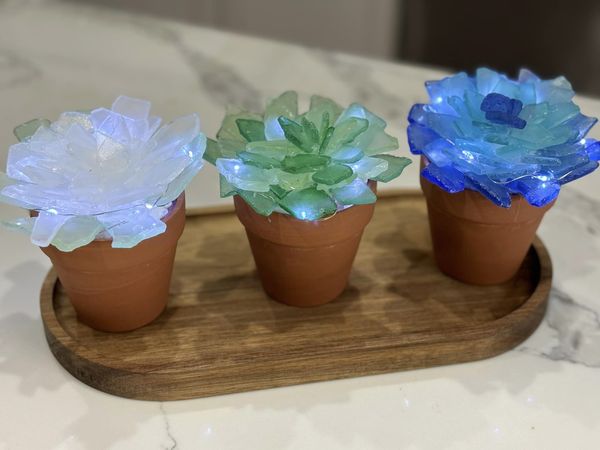 03/29/25 Sea Glass Succulents Workshop 3pm