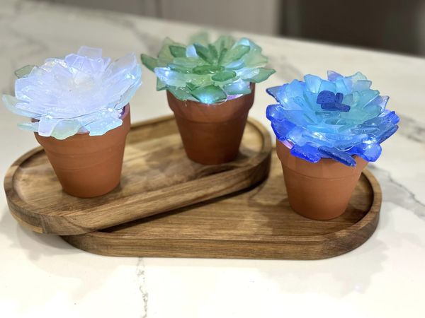 03/29/25 Sea Glass Succulents Workshop 3pm