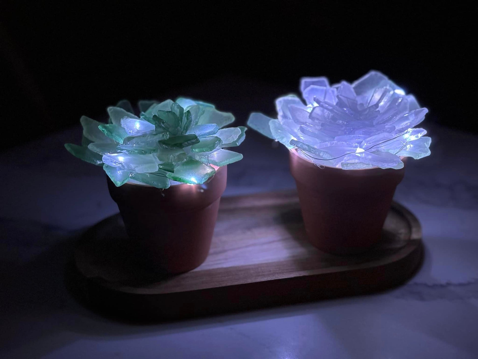 stained glass succulents kit Sea Glass Succulents Take Home Kits – Hammer & Stain Chambersburg