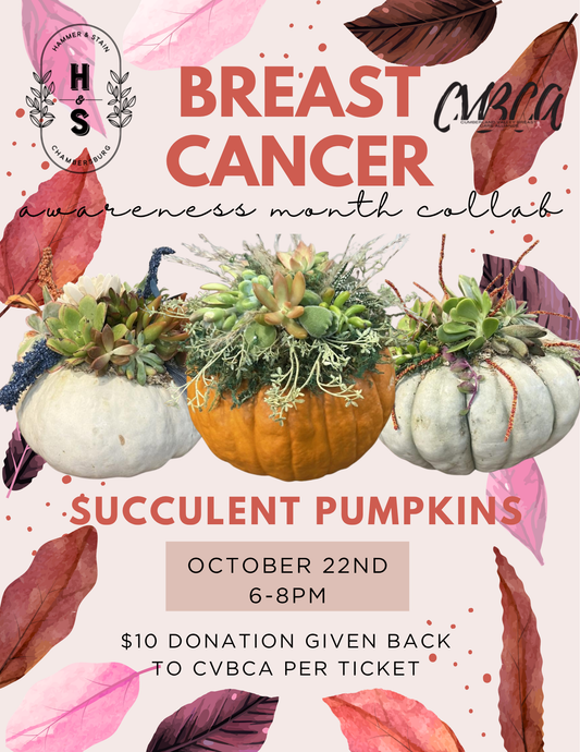 10/22/26 Succulent Pumpkin Workshop FUNDRAISER benefiting Cumberland Valley Breast Care Alliance 6pm
