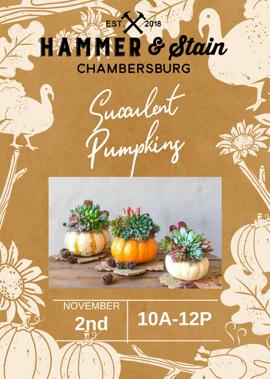 11/02/24 Succulent Pumpkin Workshop  10am