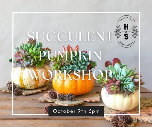 10/09/25 Succulent Pumpkin Workshop  6pm