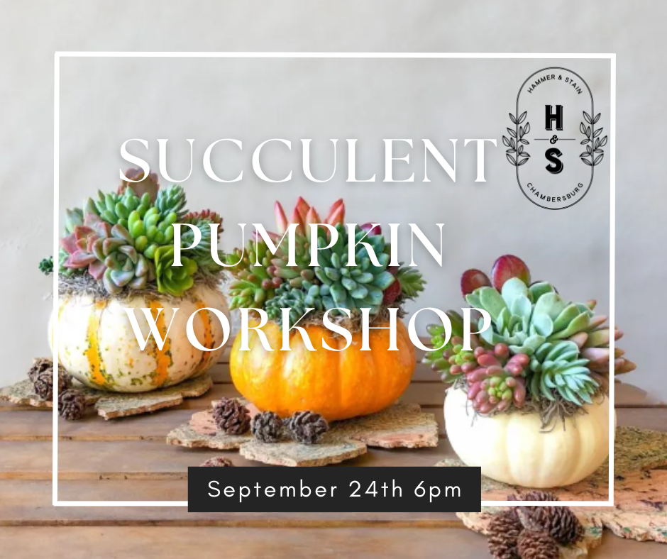 09/24/25 Succulent Pumpkin Workshop  6pm