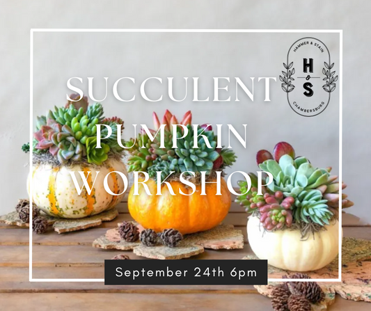 09/24/25 Succulent Pumpkin Workshop  6pm