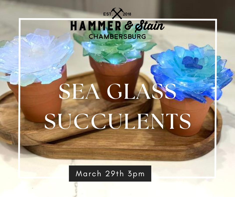 03/29/25 Sea Glass Succulents Workshop 3pm