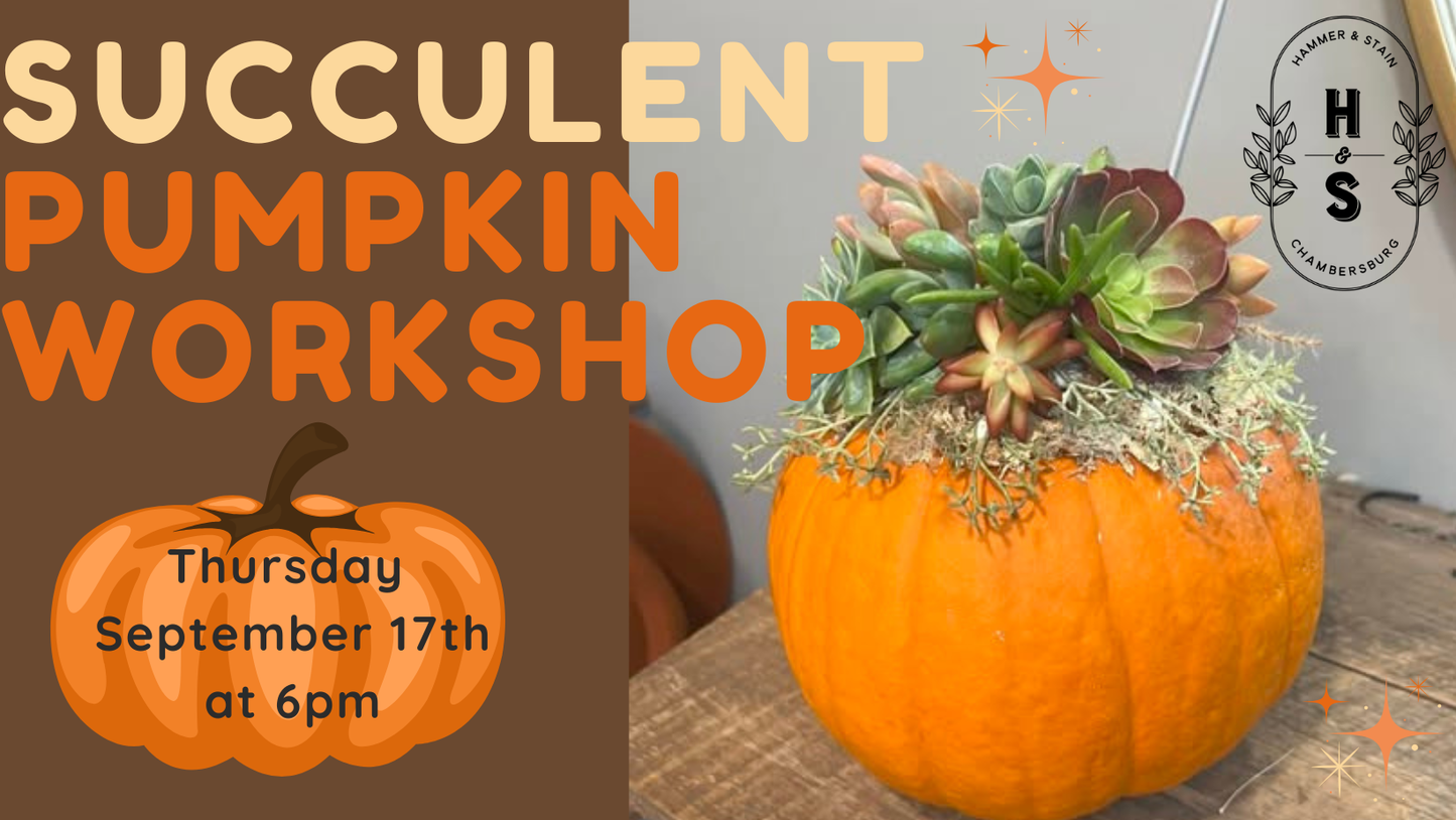09/17/26 Succulent Pumpkin Workshop 6pm