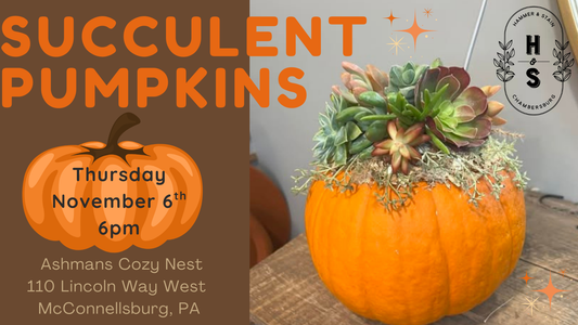 11/06/25 Succulent Pumpkin Workshop at Ashman's Cozy Nest 6pm