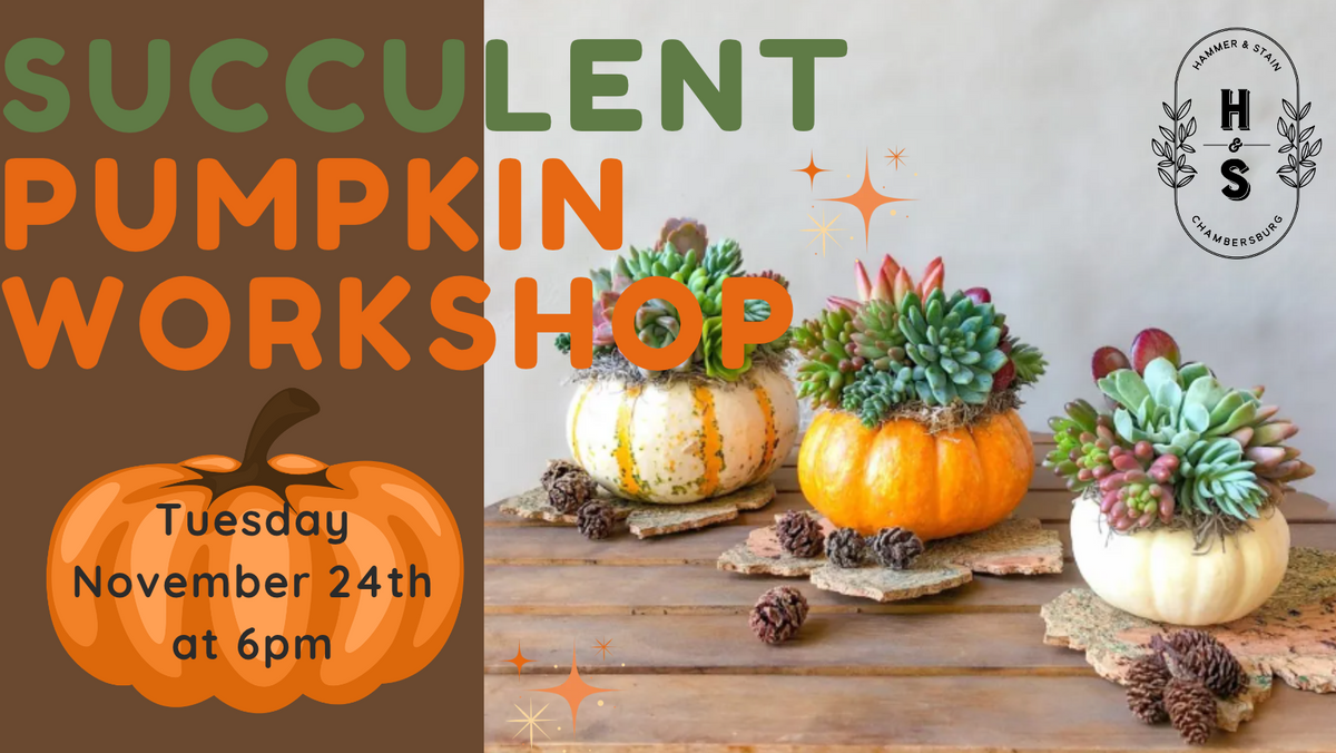 11/24/26 Succulent Pumpkin Workshop 6pm
