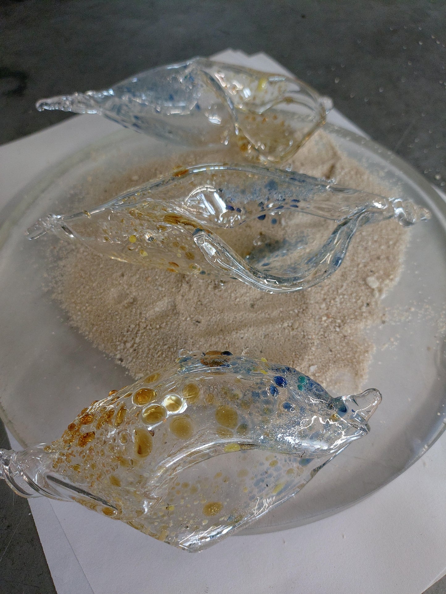 06/16/26 Shell Glass Blowing Workshop with Peluso Glass 6pm
